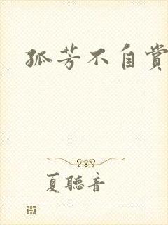 孤芳不自赏小说