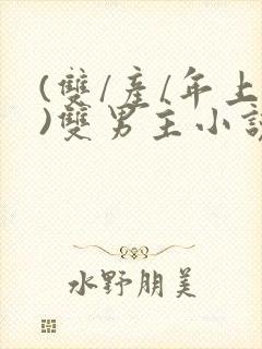 (双/产/年上)双男主小说