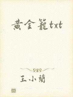 黄金笼txt