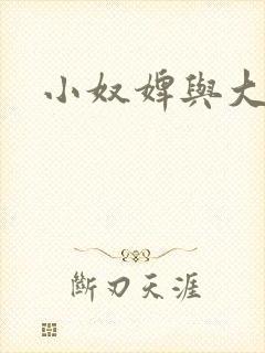 小奴婢与大少爷