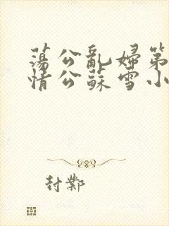 荡公乱妇第1章情公苏雪小说