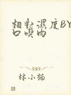 相对湿度BY大口吃肉