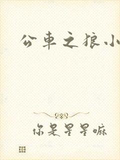 公车之狼小说