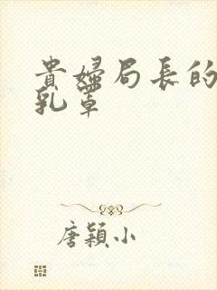 贵妇局长的蕾丝乳罩