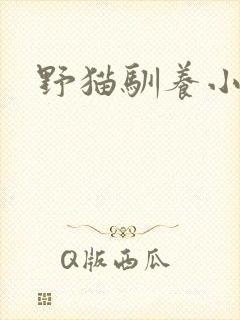 野猫驯养小说