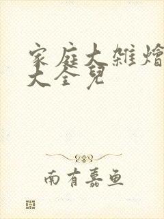 家庭大杂烩小说大全儿