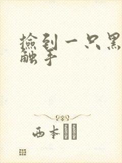 捡到一只黑心小触手