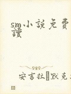 sm小说免费阅读