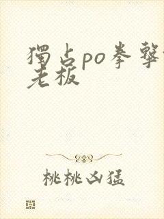 独占po拳击馆老板