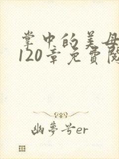 掌中的美母版主120章免费阅读