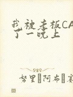 我被老板CAO了一晚上