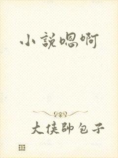 小说嗯啊