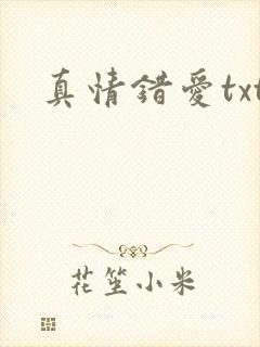真情错爱txt