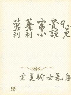 荣华富贵9小王莉莉小说免费阅读