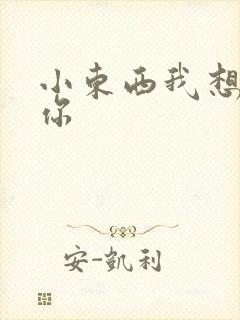 小东西我想弄坏你