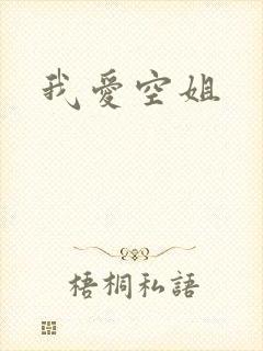 我爱空姐