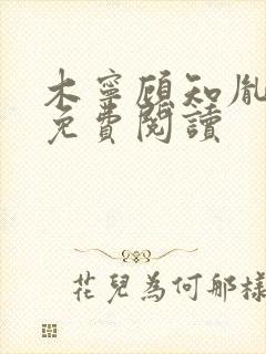 木宁顾知胤小说免费阅读