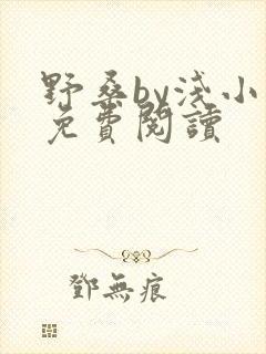 野桑by浅小说免费阅读