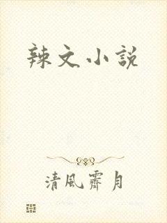 辣文小说