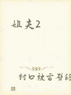 姐夫2