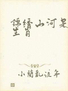 锦绣山河是什么生肖