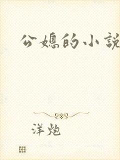 公媳的小说