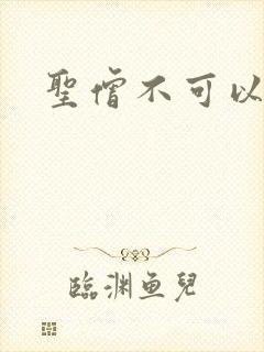 圣僧不可以