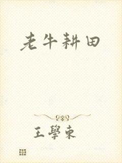 老牛耕田