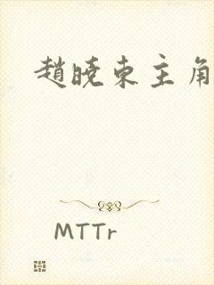 赵晓东主角小说