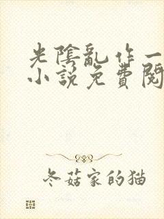 光阴乱作一团的小说免费阅读