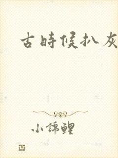 古时候扒灰小说