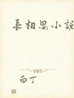 长相思小说原著