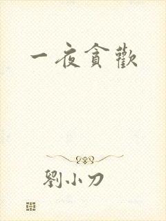 一夜贪欢