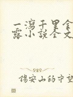 一泻千里金银花露小说全文免费阅读