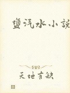 盐汽水小说