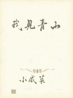 我见青山