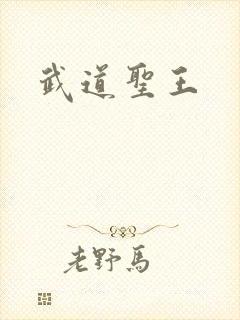 武道圣王