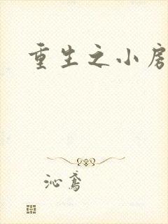 重生之小房东
