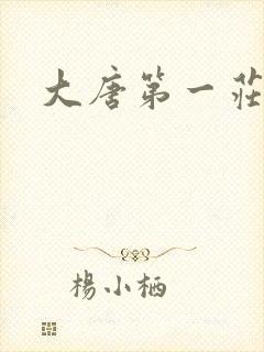 大唐第一庄