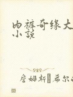 内裤奇缘大团结小说