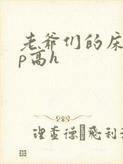 老爷们的床奴np高h