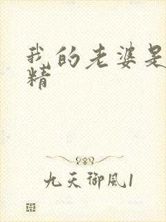 我的老婆是狐狸精