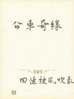 公车奇缘