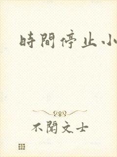 时间停止小说