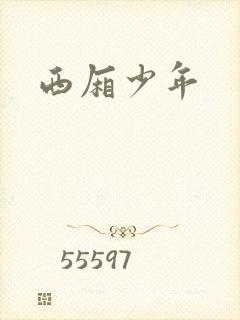 西厢少年