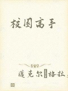 校园高手