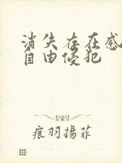 消失存在感消失自由侵犯