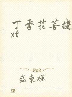 丁香花菩提树txt