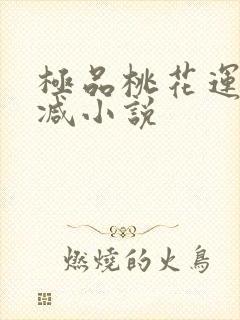 极品桃花运未删减小说