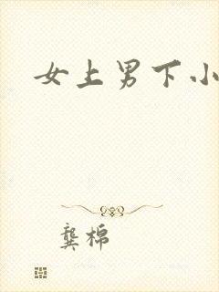 女上男下小说